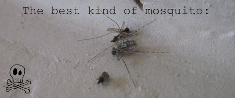 mosquito, dead, best